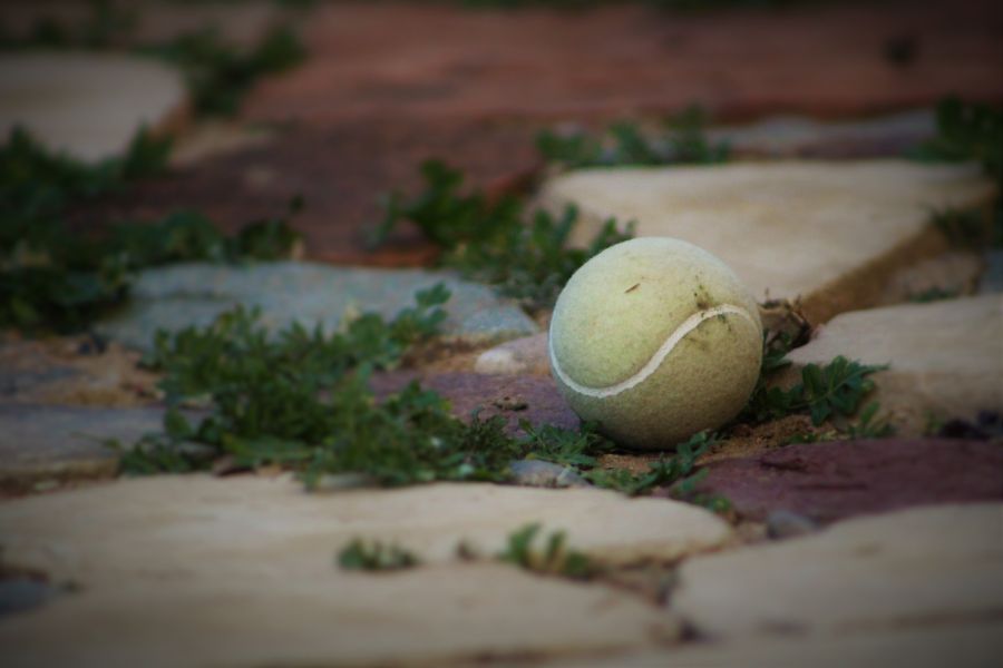 A tennis ball on the ground